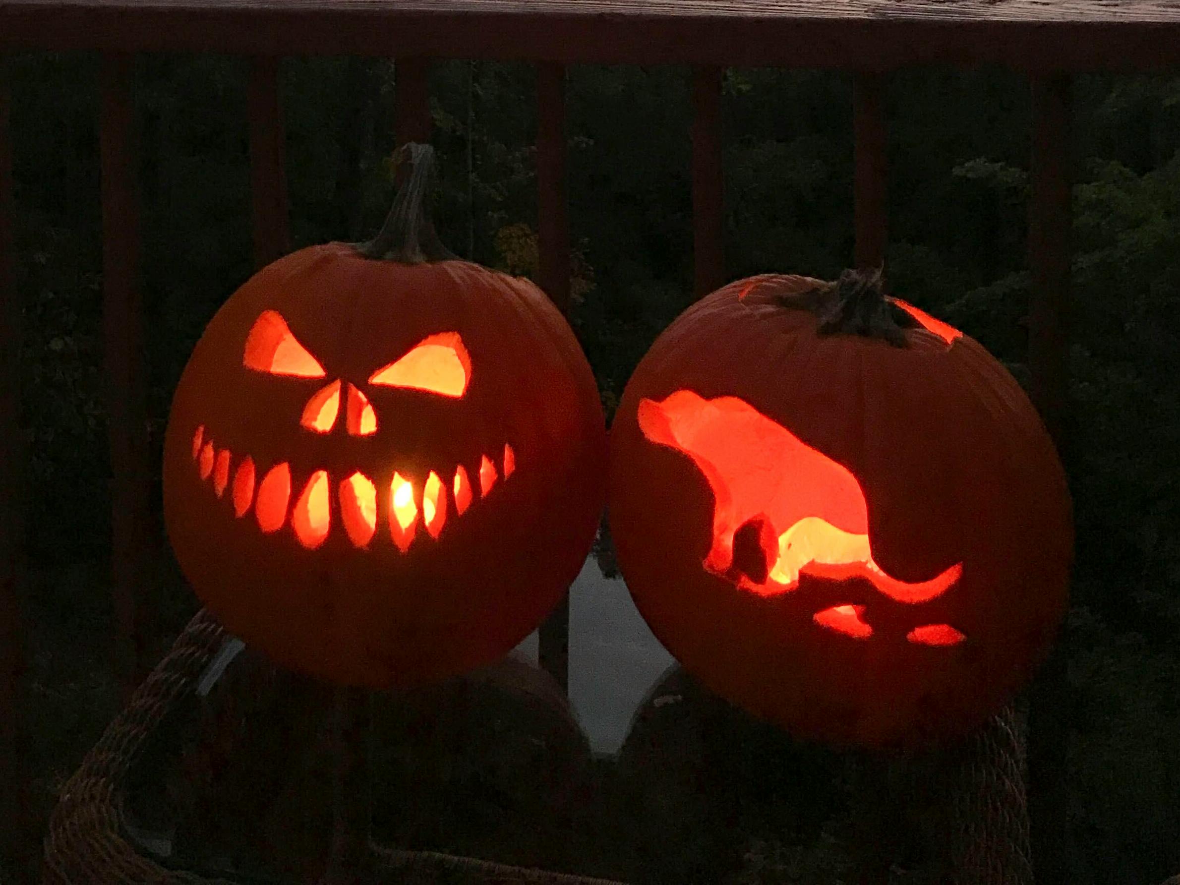 dog pooping pumpkin