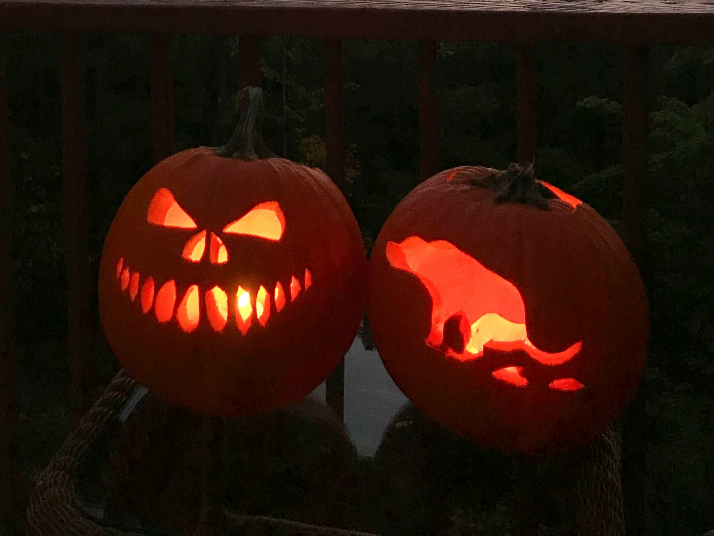 Two carved pumpkins, one with a scary face, the other with a dog pooping carved into it.