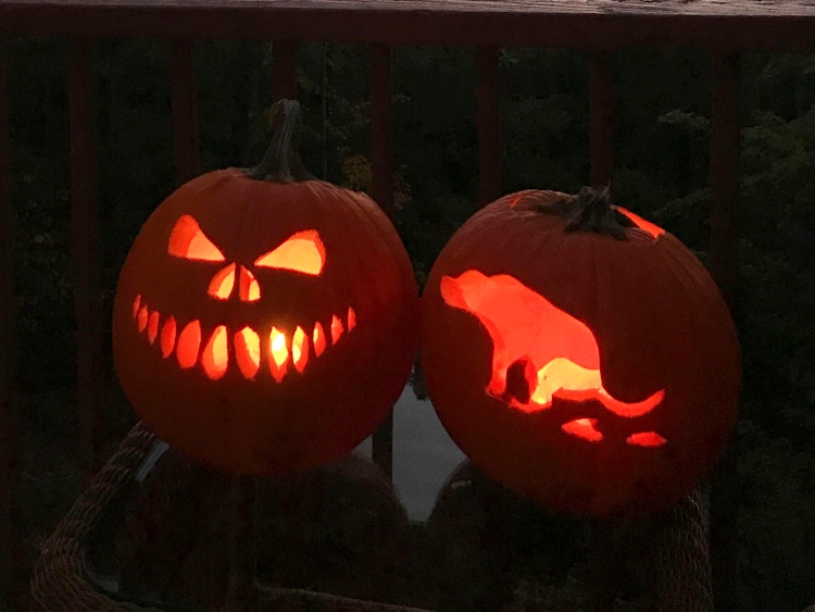 Two carved pumpkins, one with a scary face, the other with a dog pooping carved into it.