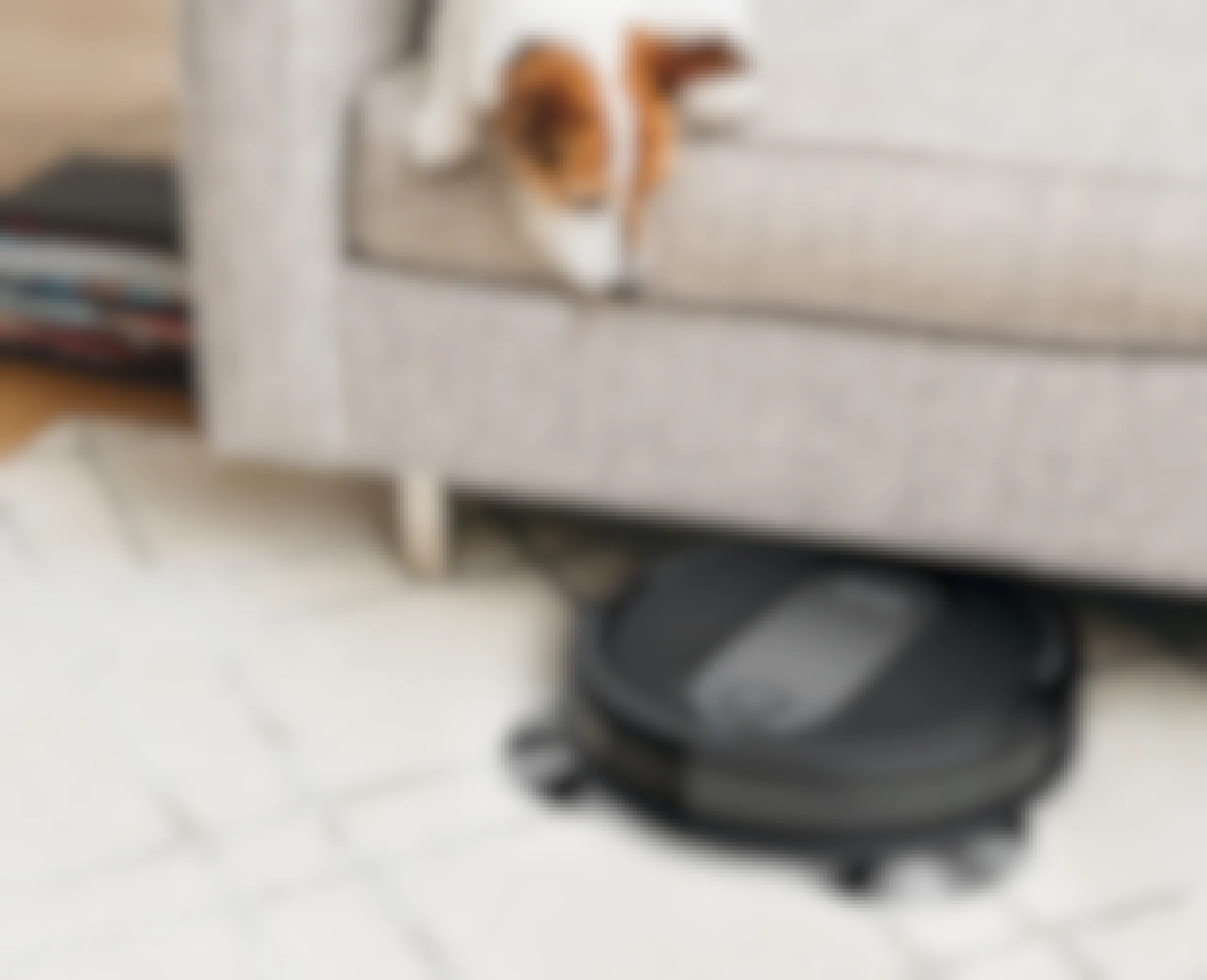 dog on a couch watching a robot vacuum come out from under it