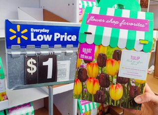 walmart flower bulb clearance 2022 5 1665939066 1665939067 scaled