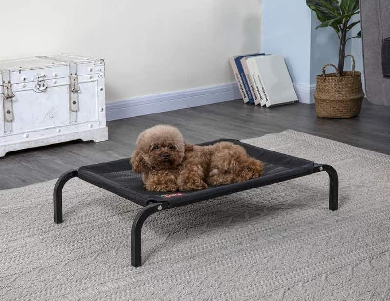 way day pet deals - Elevated Cooling Cot