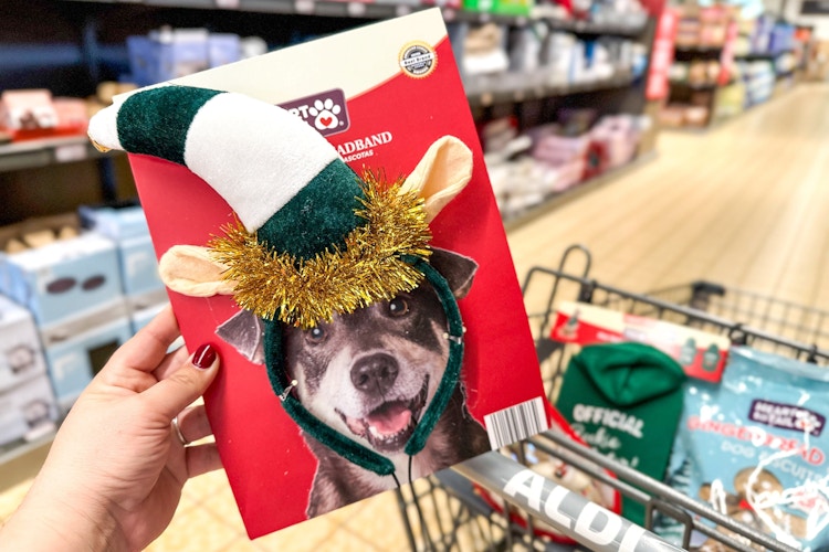 a pet headband at Aldi