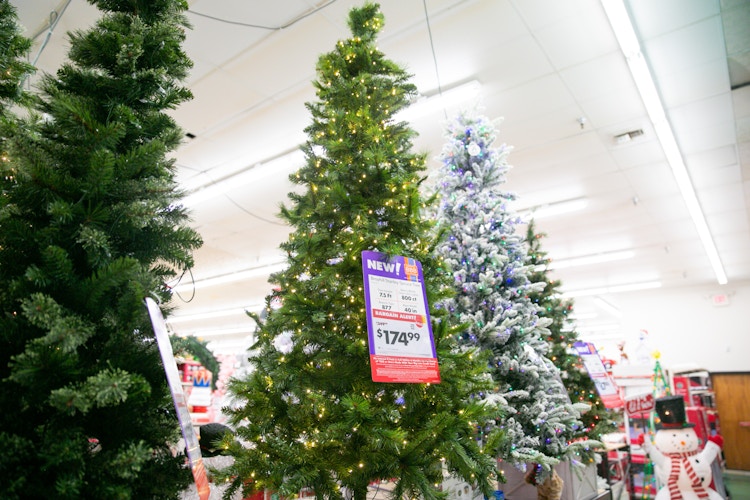A row of christmas trees with christmas lights inside of a Big Lots store