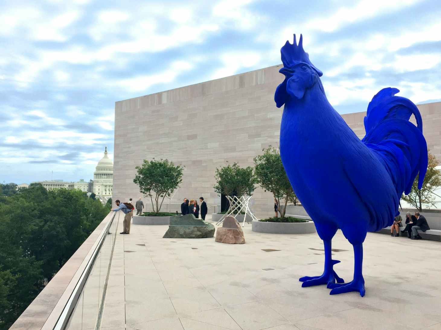 washington dc national gallery of art rooster