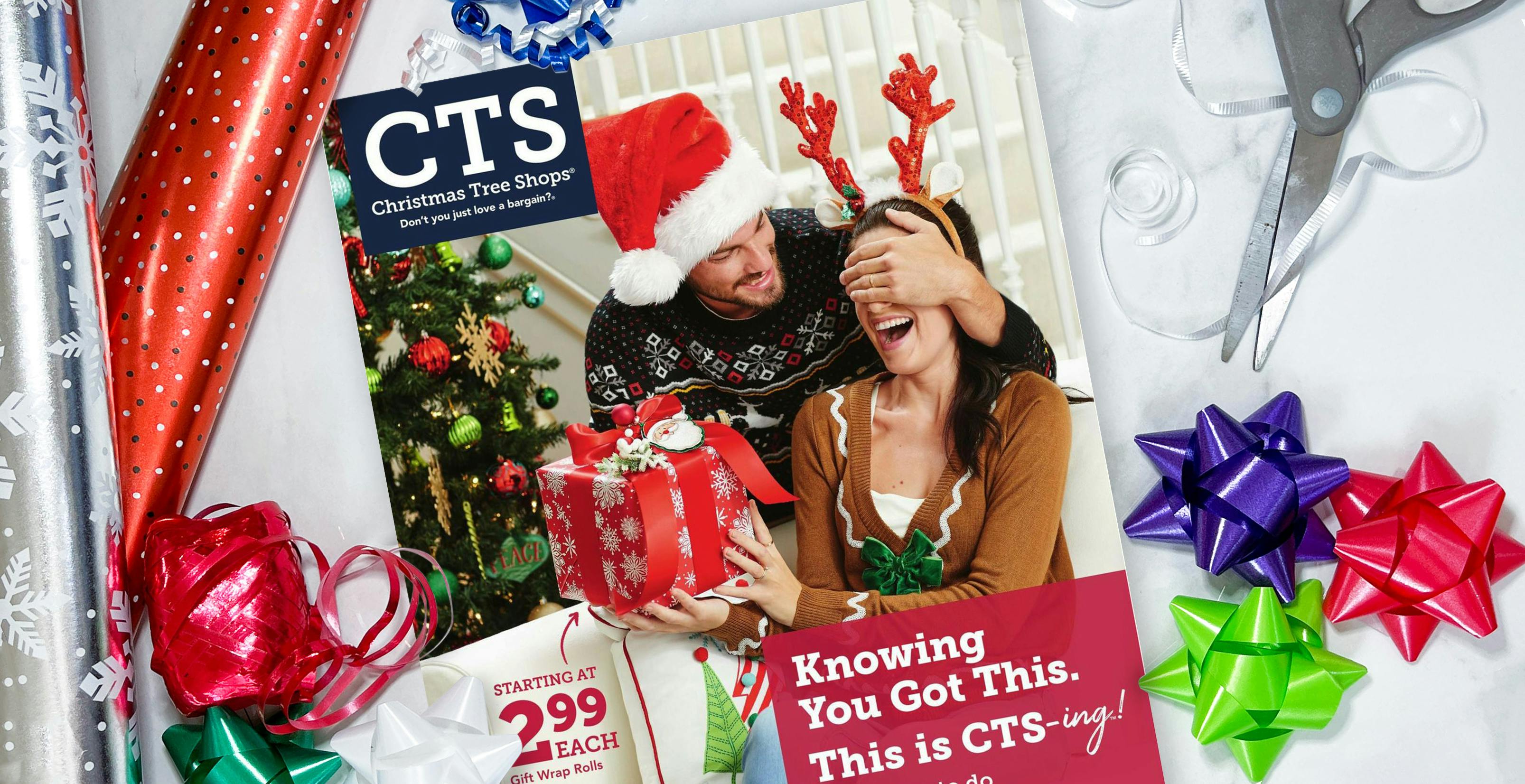 How to Score a Christmas Tree Shop Coupon The Krazy Coupon Lady