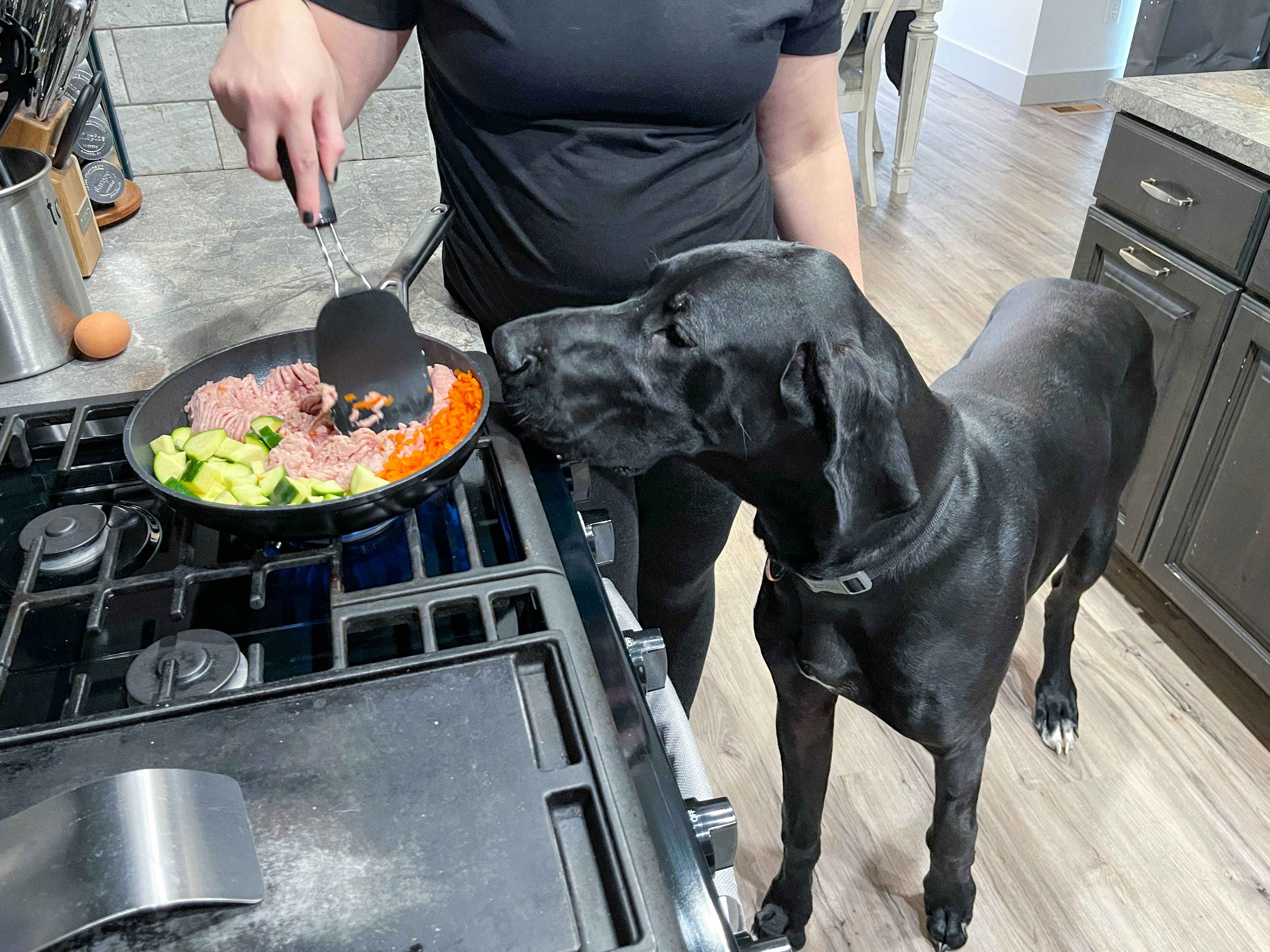 homemade dog food cooking in a pan on a stove top with a food sniffing at the pan