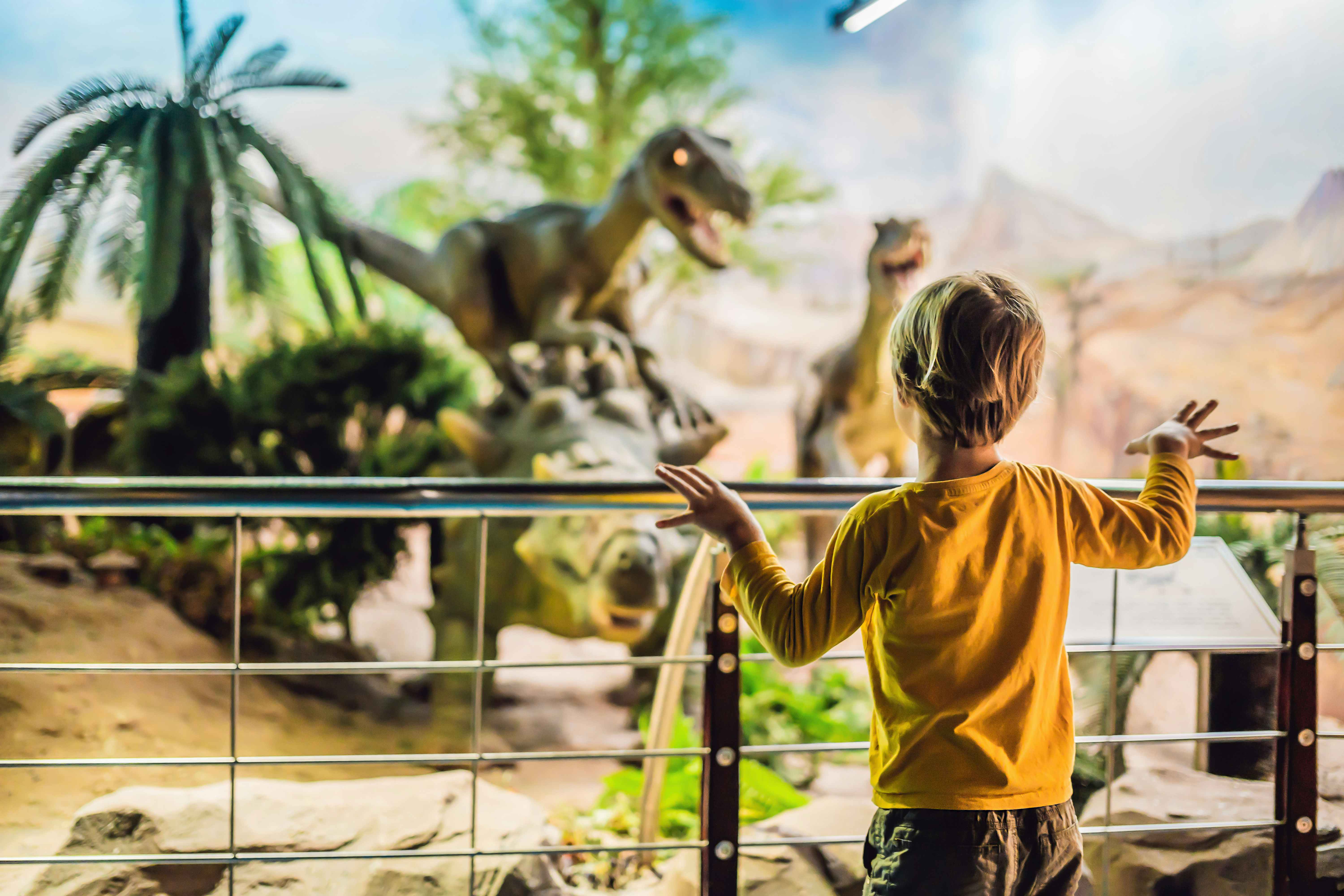 Boy looking at Dinosuar exhibition