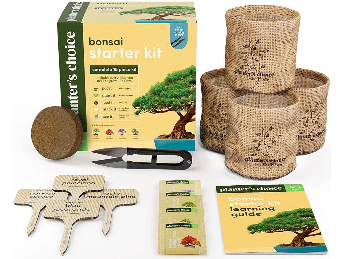 A Bonsai Starter Kit box set and components