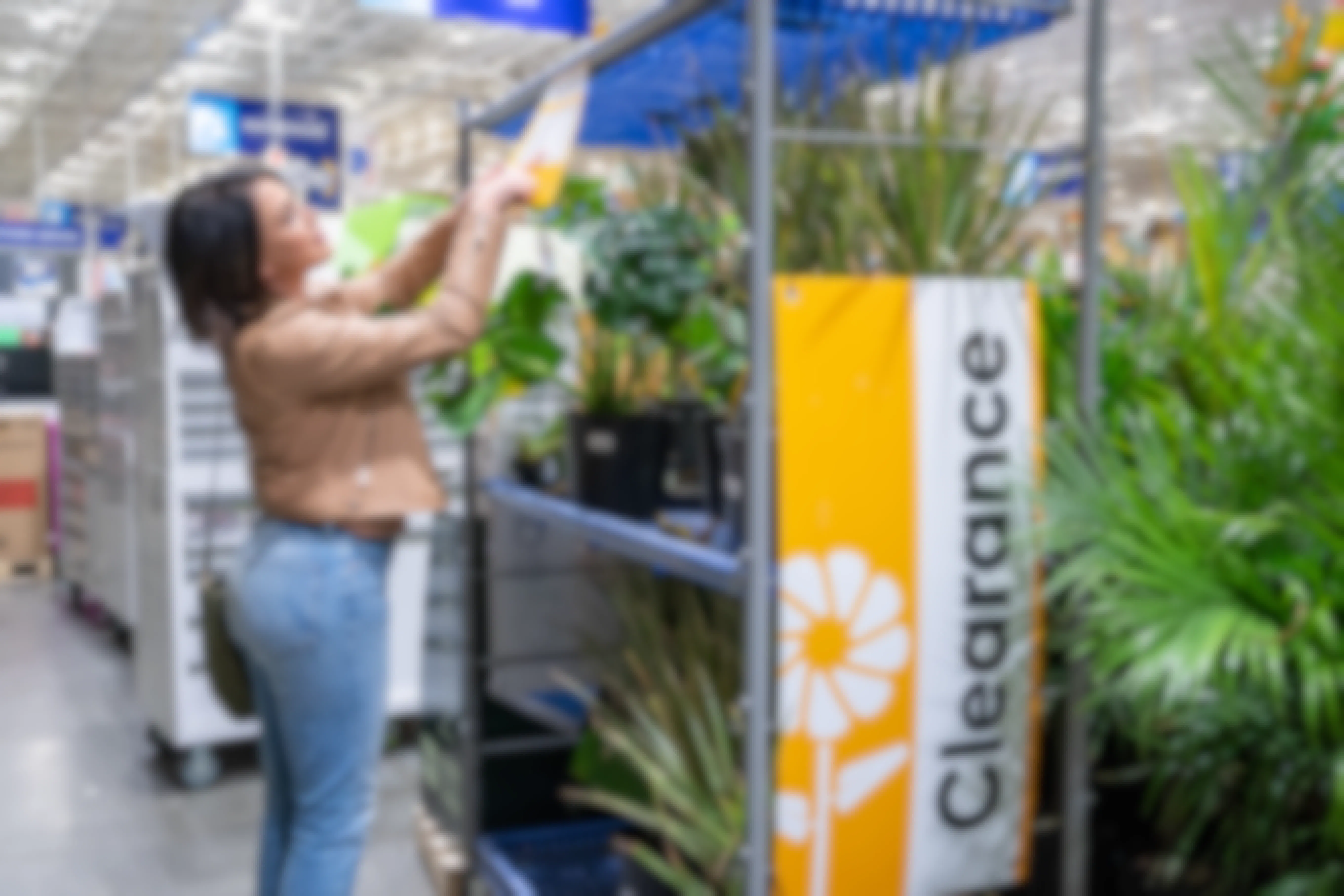 A person looking at the prices listed on a Clearance shelf of plants at Lowe's