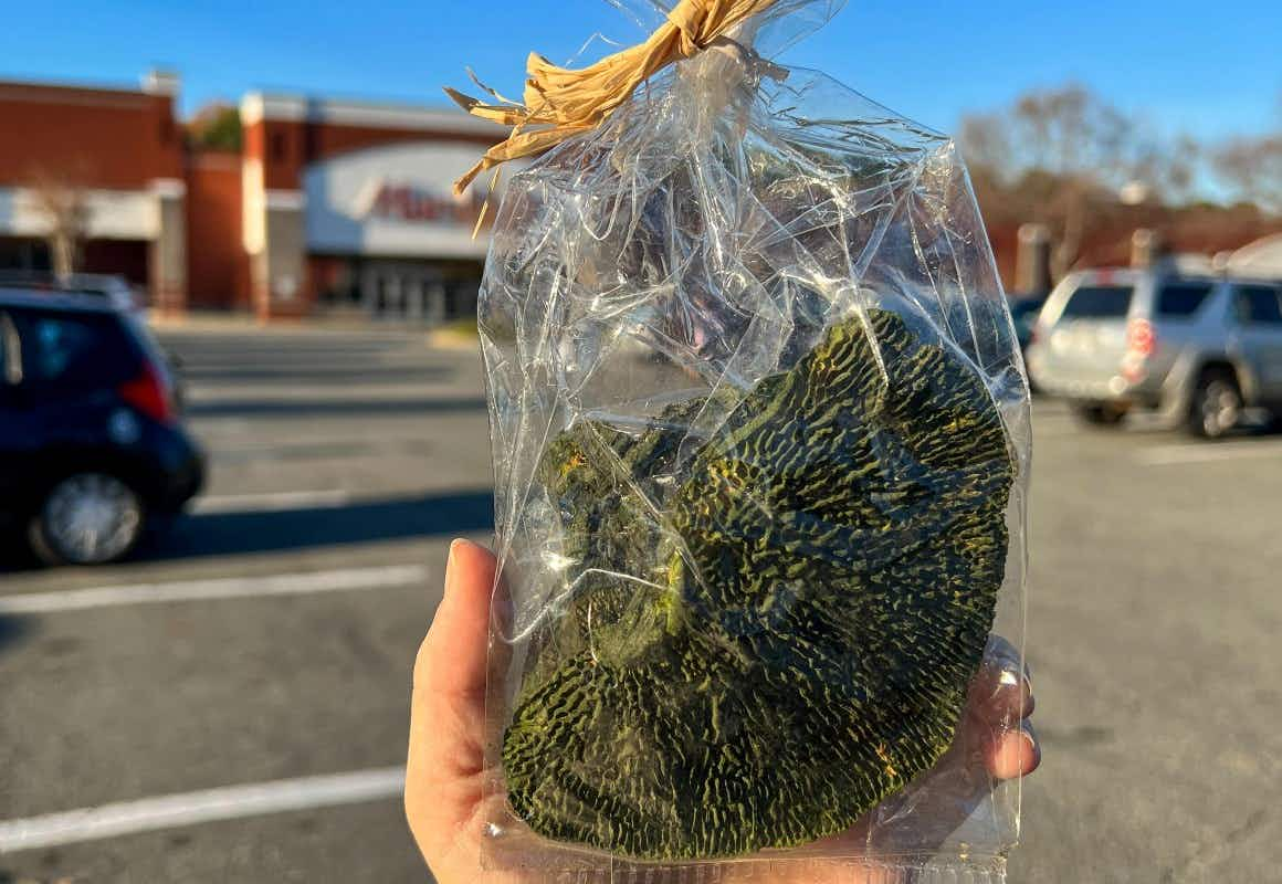 someone holding coral decor