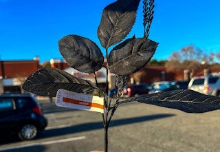 someone holding a stem