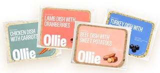 ollie dog food nov29 2022 b 1669746374 1669746374