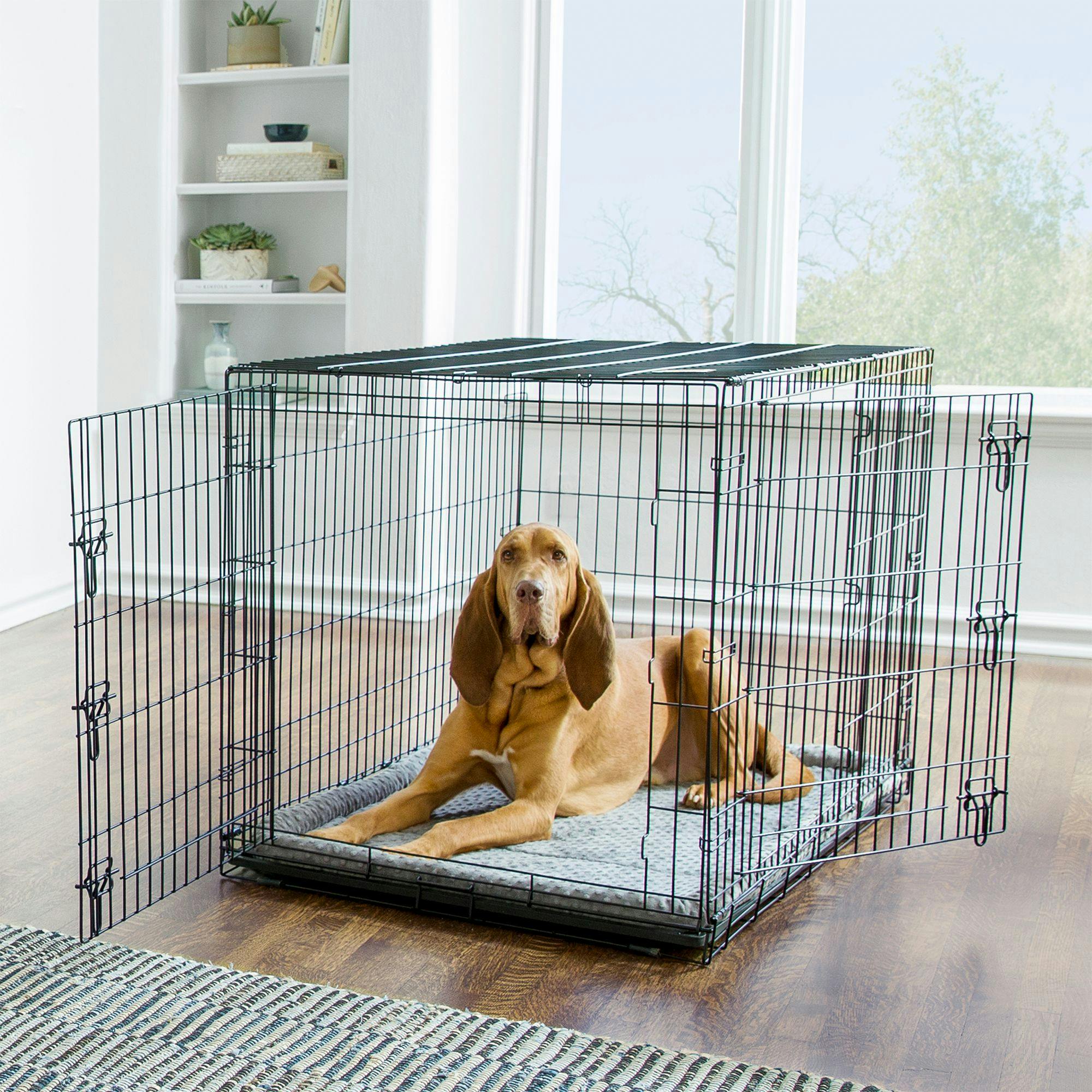 Petsmart Dog Kennels Sale