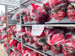 poinsettia home deopt 2022 2 1669394048 1669394049 scaled