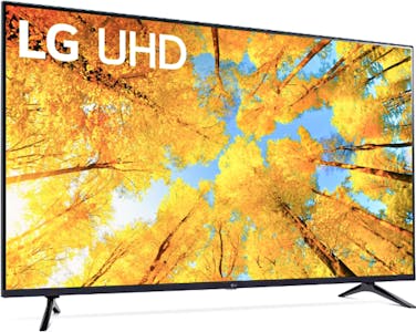 65" LG TV