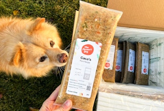 the farmers dog deal dec5 2022 e 1670261323 1670261324 scaled