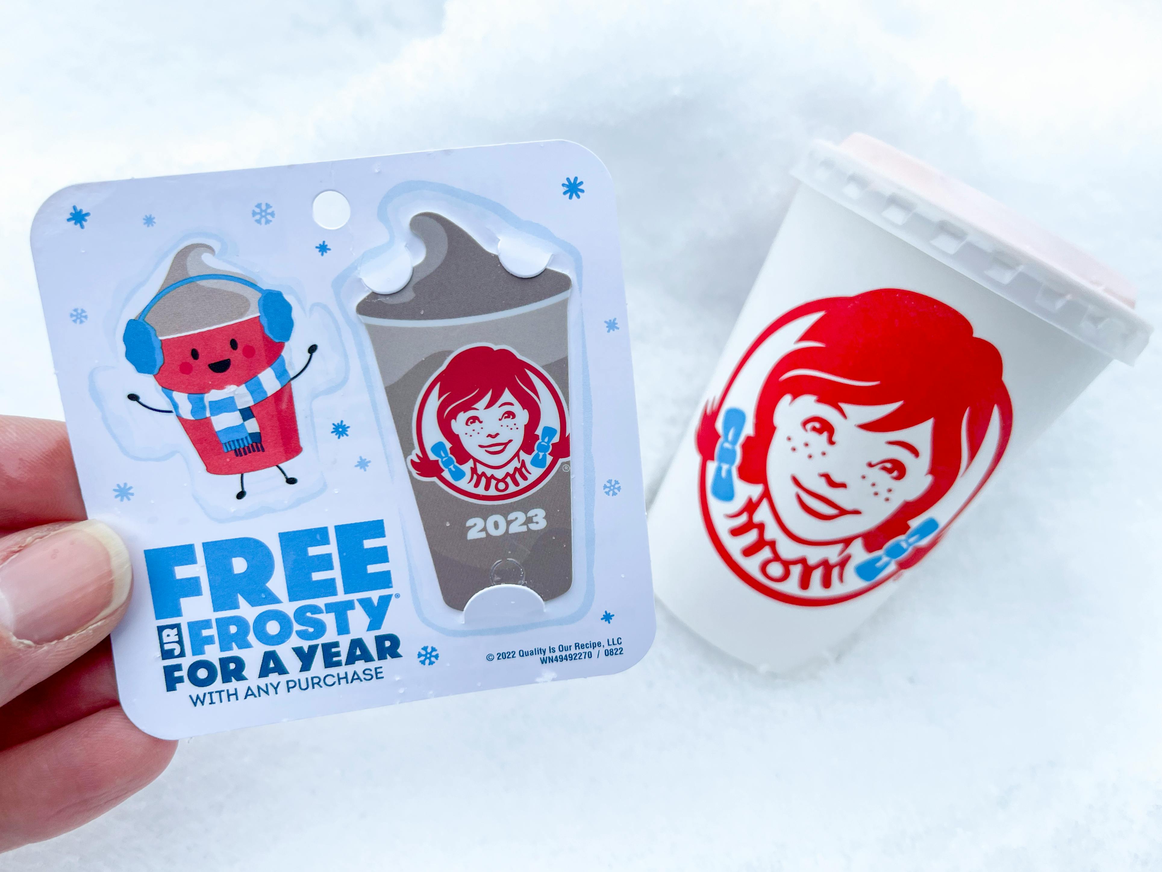 1 Wendy's Boo Books Now Available (5 Free Jr. Frosties + 1.99 Kids