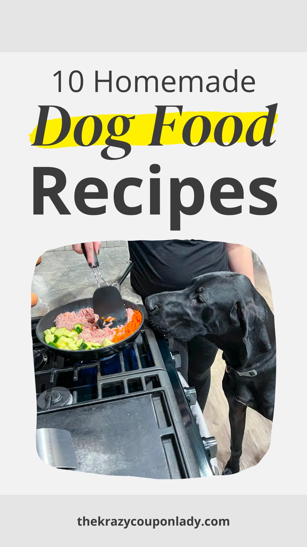 10 Homemade Dog Food Recipes Your Dog Will Drool Over