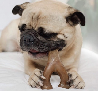 amazon benebone dog chew treat screenshot 1670276429 1670276429