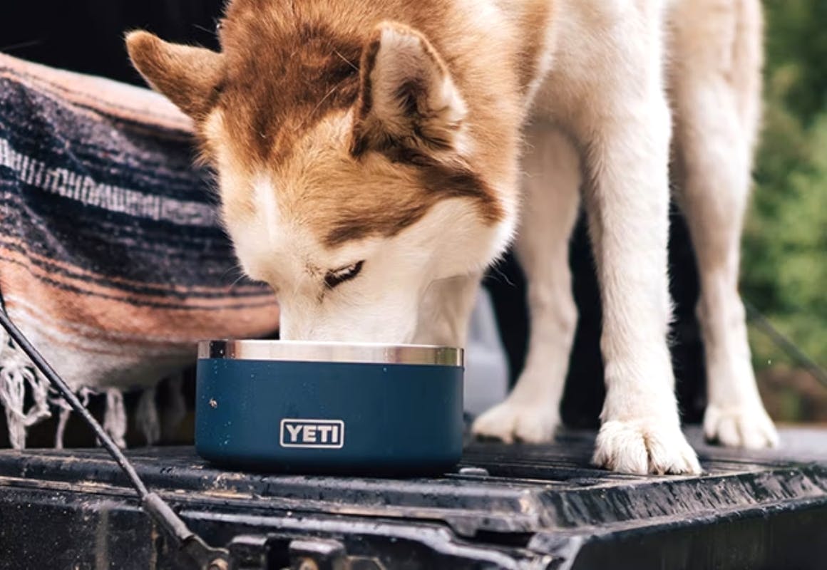 super chewer yeti bowl