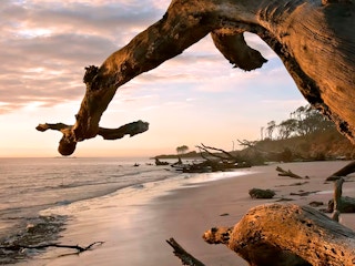 beach at big talbot state park in jacksonville florida