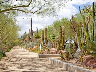 springs preserve in las vegas nevada