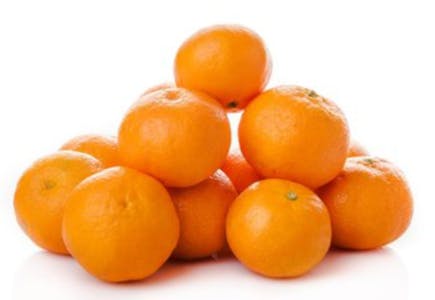 Mandarins or Clementines Bag