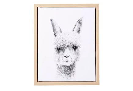 11" x 14" Framed Canvas Llama
