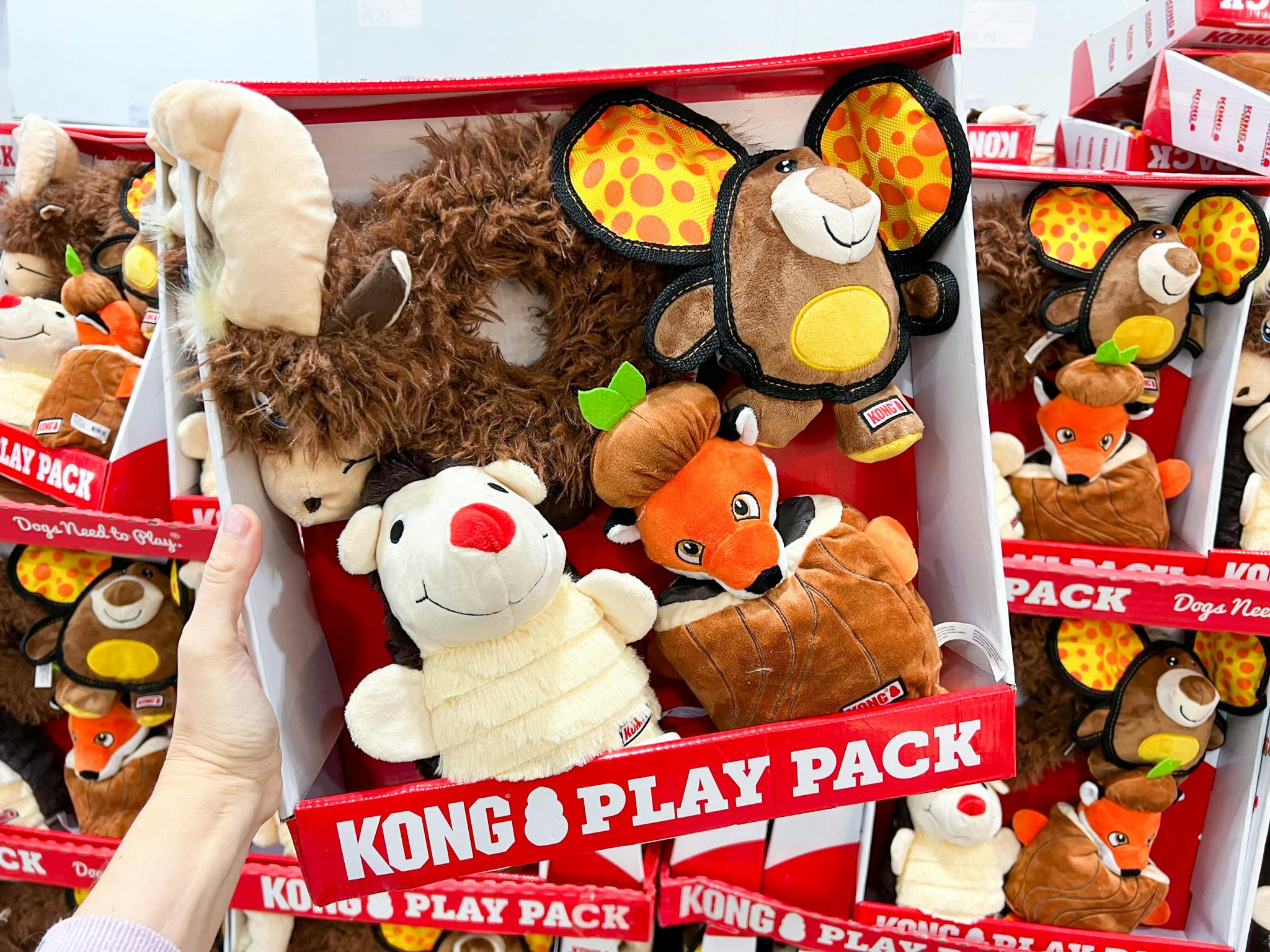 Costco kong 2024 dog toys