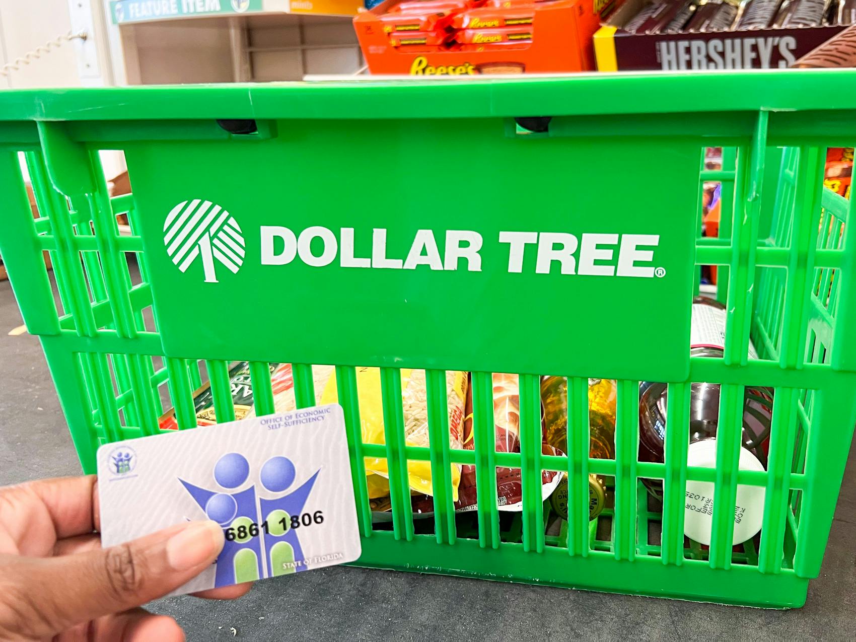 Does Dollar Tree Take EBT in 2022? Here's How To Use Your Benefits