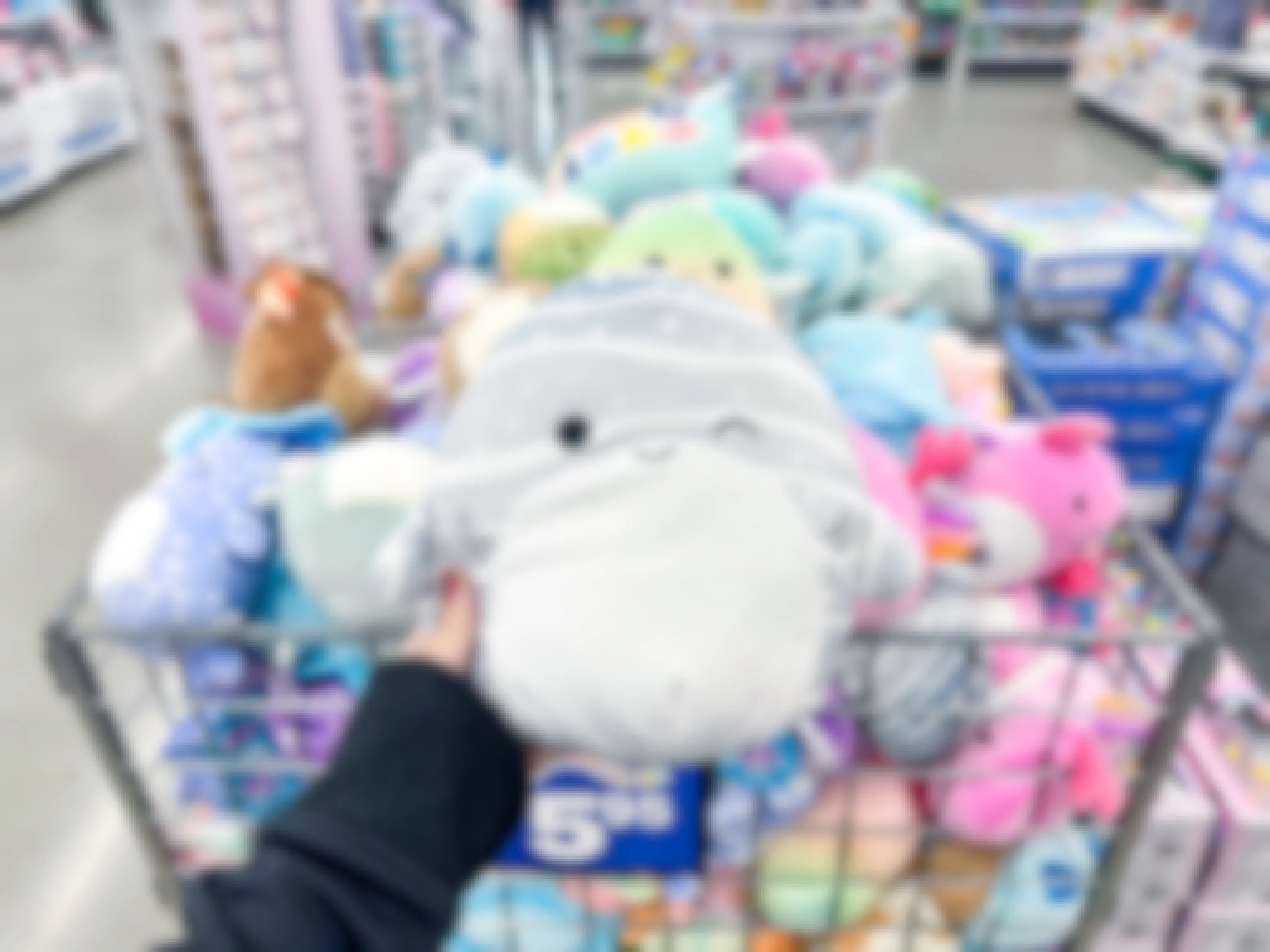 Sachie the Whale Shark in front of a large bin of Squishmallows at Five Below