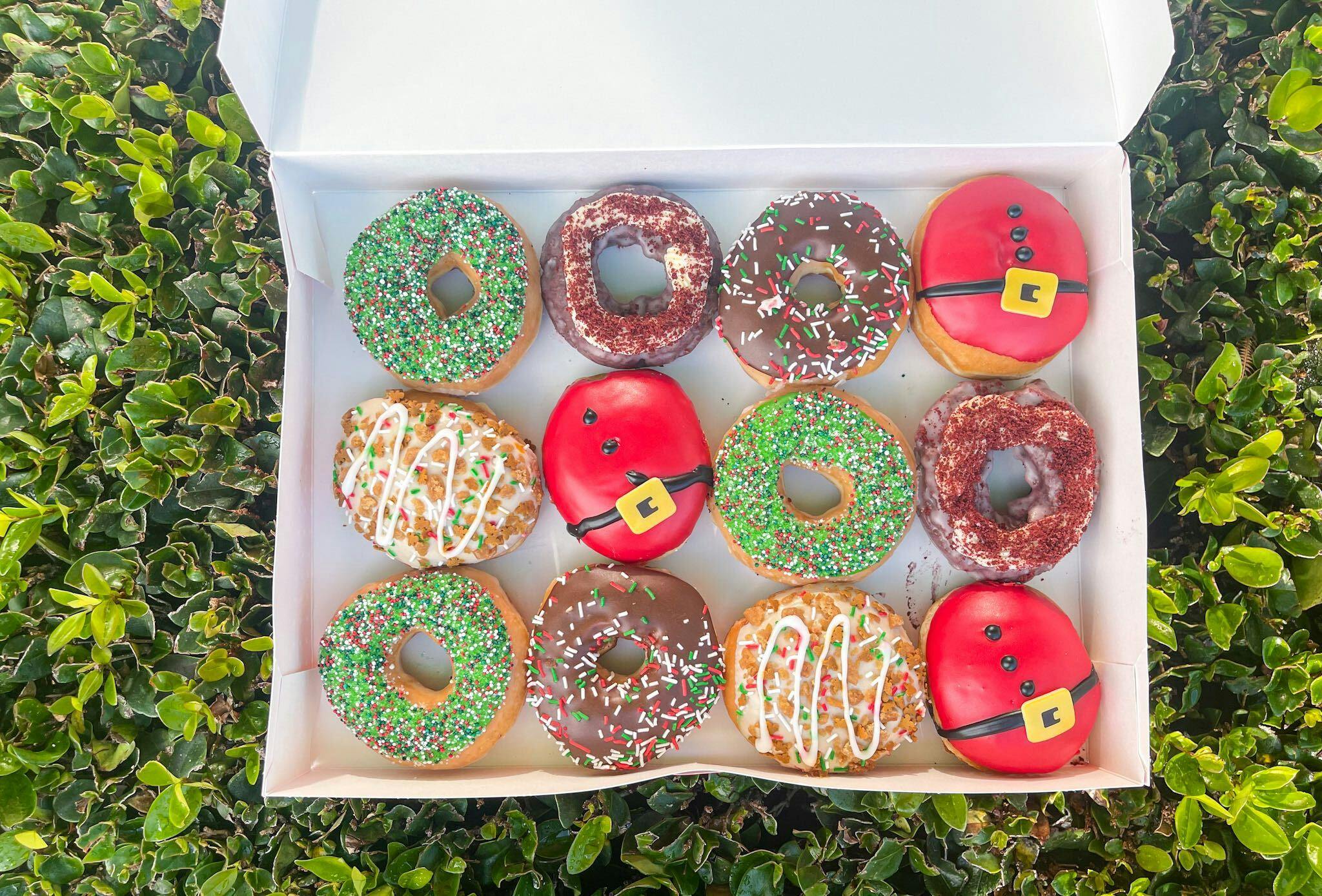 a box of Christmas or Holiday Donuts on a green bush