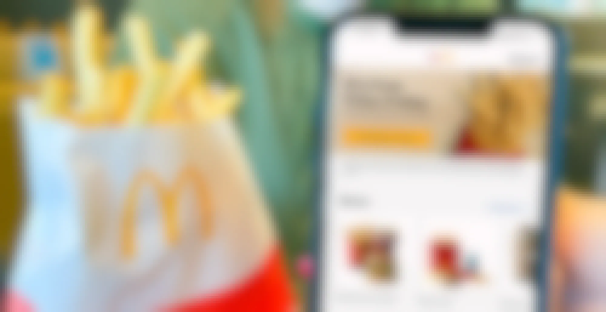 person holding phone with mcdonalds app and free french fries in restaurant
