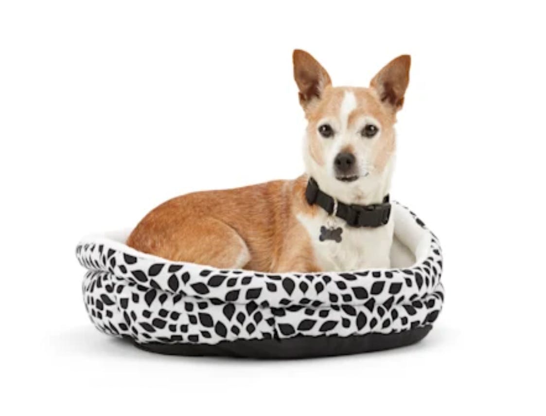 Dog Beds At Petco