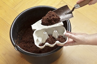 diy egg carton container for plants