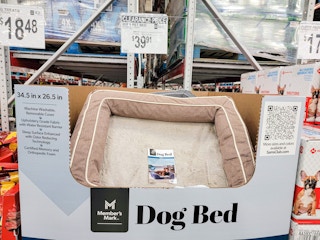 dog bed