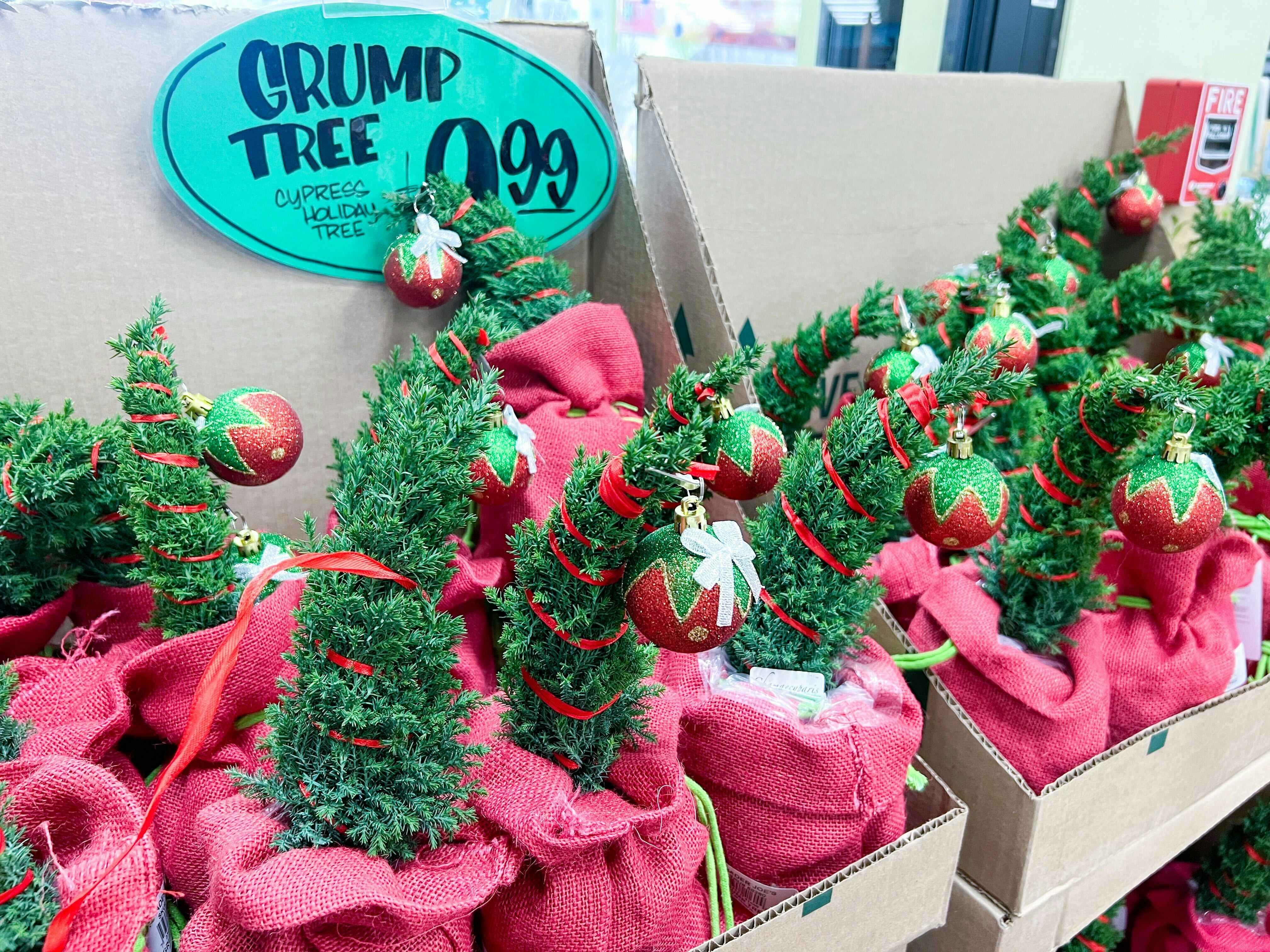 display of Trader Joe's Holiday Grump Trees