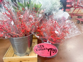 containers of Trader Joe's Holiday Ilex Berries