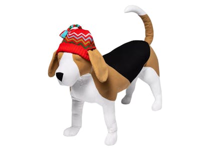 Cat & Dog Hat
