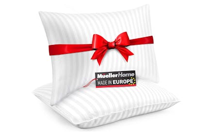 Pillow 2-Pack