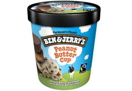 Ben & Jerry's Ice Cream Pint