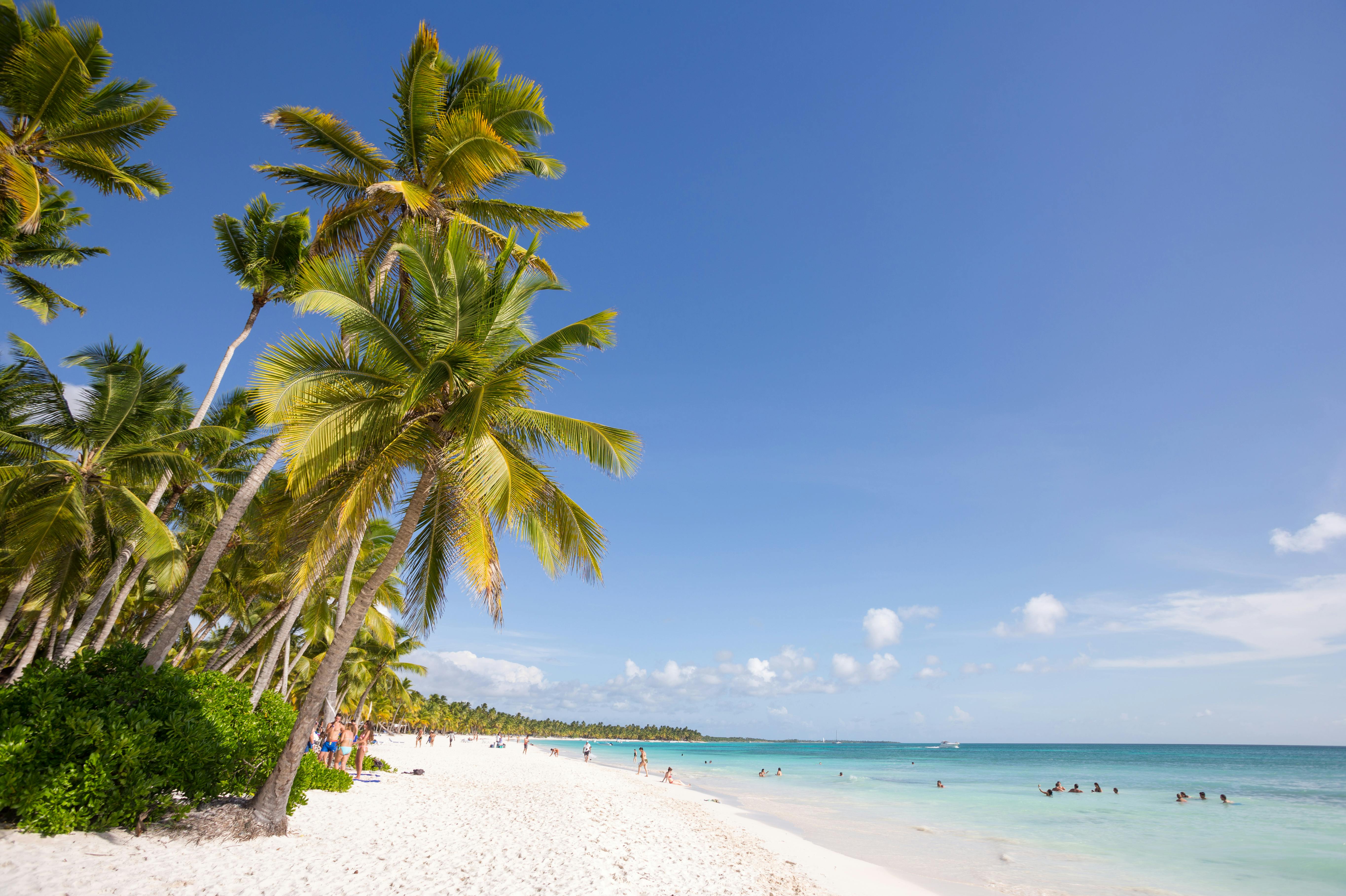 A sandy beach landscape in punta cana, dominican republic