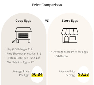 graphic showing the price comparison of having a chicken coop versus buying store-bought eggs