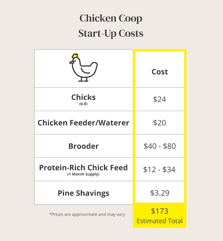graphic showing the start-up costs for building a chicken coop