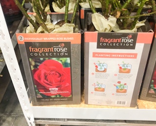 costco barefoot roses jan 2023 1674828283 1674828284
