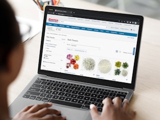 Someone shopping for bulk flowers on Costco.com