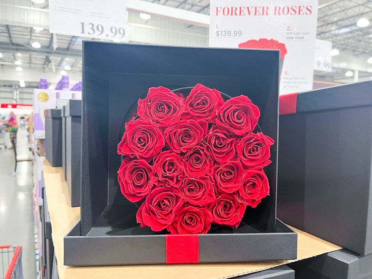 preserved roses