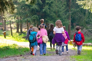 A group of elementary school kids entering a forest for a hike