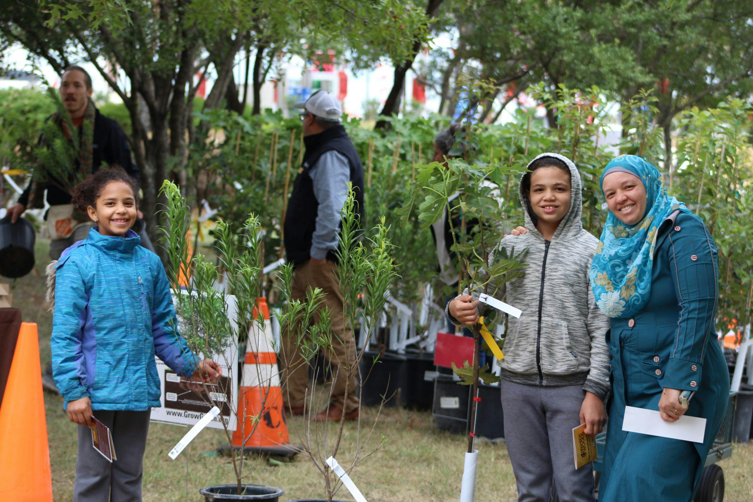 Free Trees From The Government Free Trees From The Government